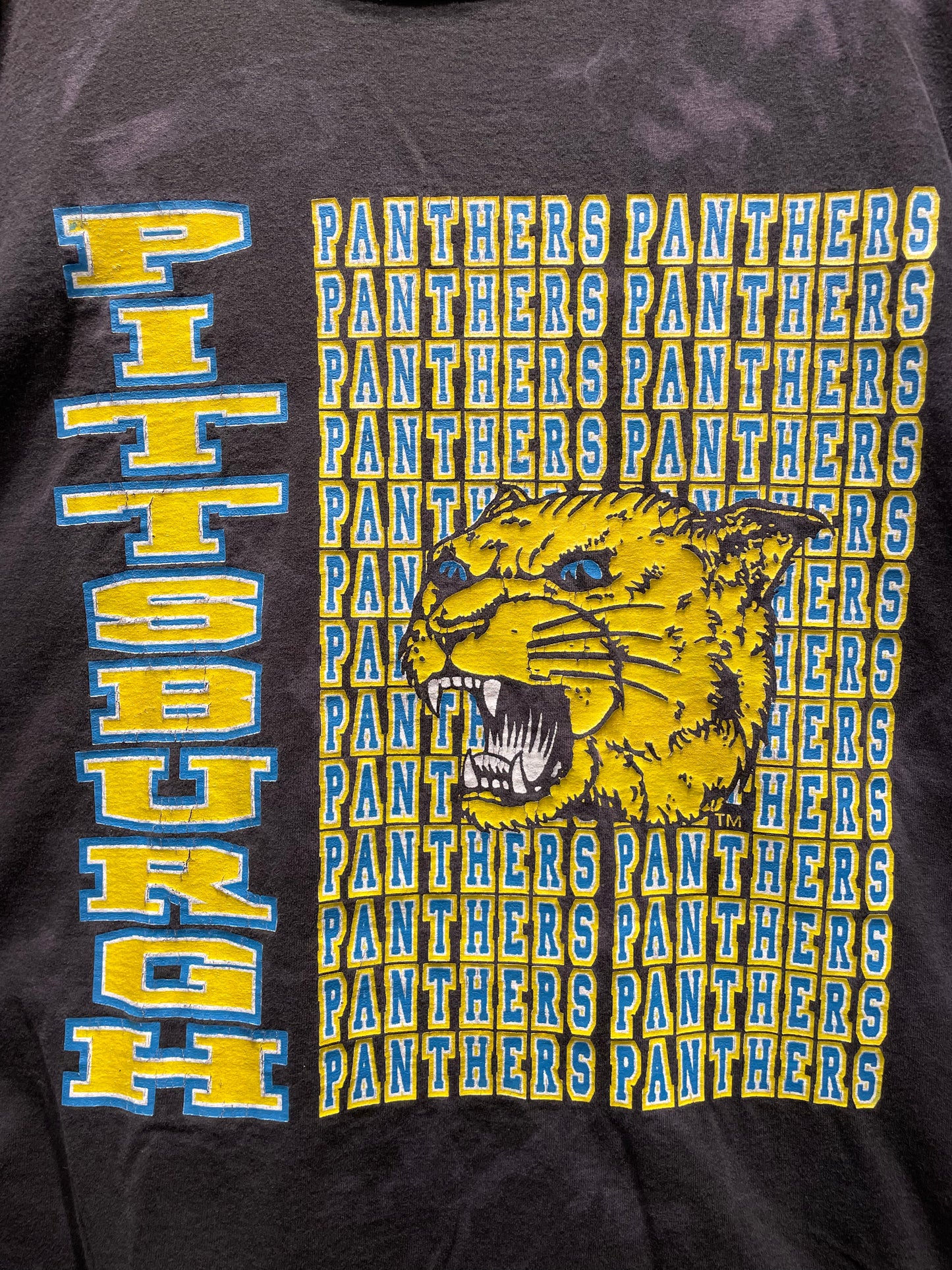 【古着】90's ピッツバーグ・パンサーズ カレッジ フットボール Tシャツ シングルステッチ