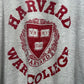 【古着】90s HARVARD COLLEGE ハーバード大学 Tシャツ  霜降りグレー